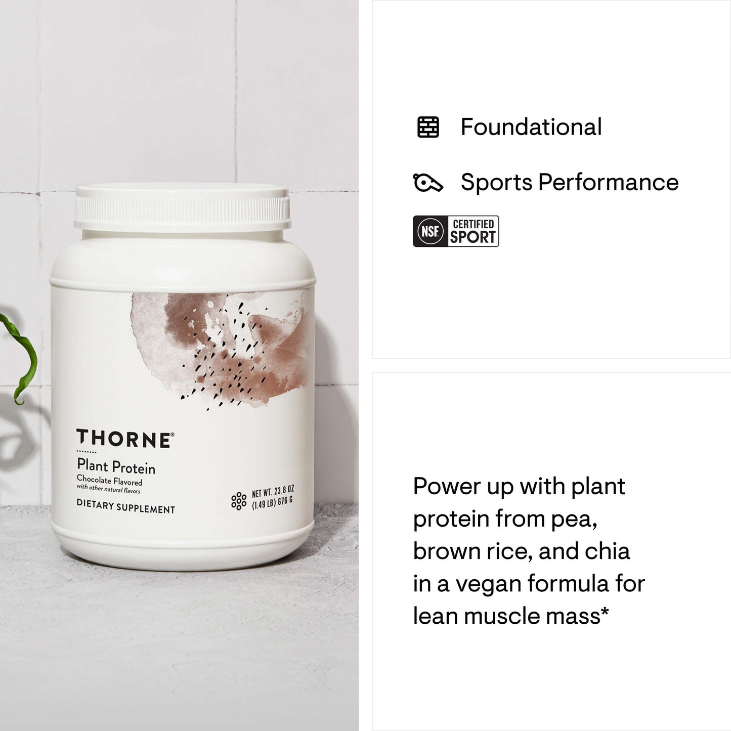 Thorne Plant Protein Powder CHOCOLATE, 23.8oz